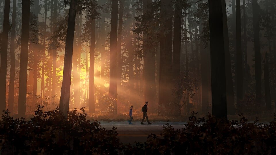 Life is Strange 2: полное издание Прокат и аренда игры 7 дней