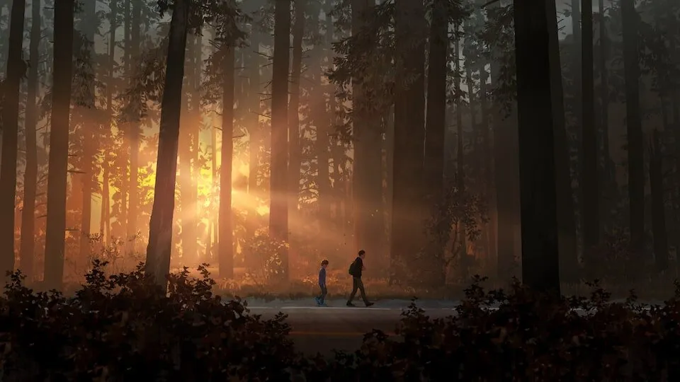 Life is Strange 2: полное издание Продажа игры