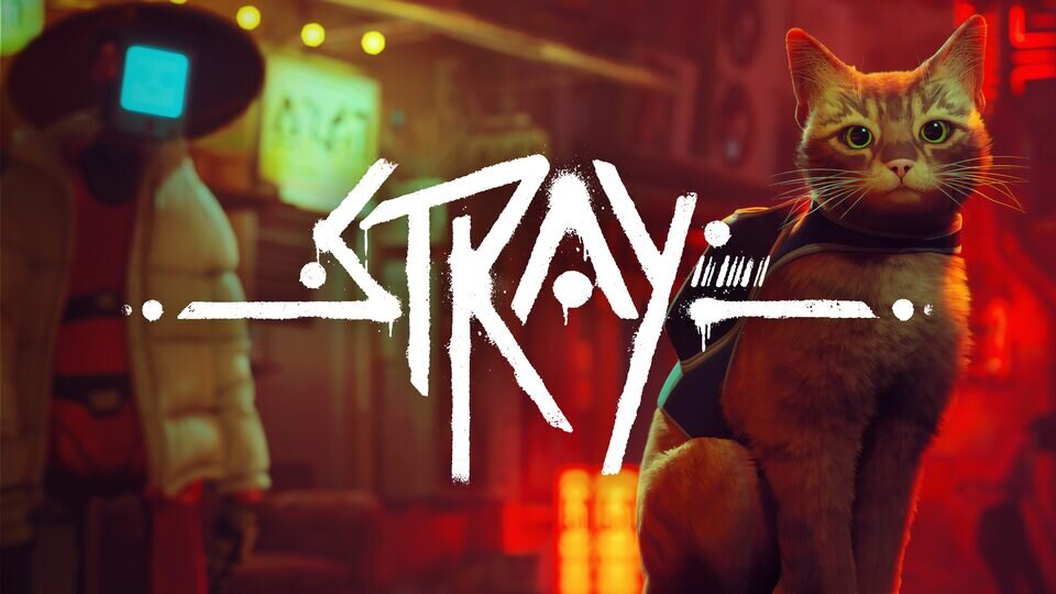 Stray Продажа игры